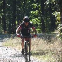 2023 vtt 517 