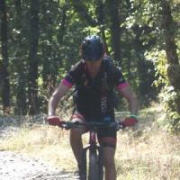 2023 vtt 519 
