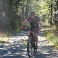 2023 vtt 521 