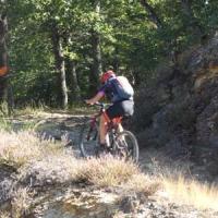2023 vtt 523 