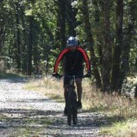 2023 vtt 524 