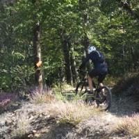 2023 vtt 529 