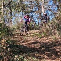 2023 vtt 6 