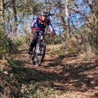 2023 vtt 7 