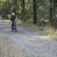 2023 vtt 82 