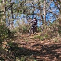 2023 vtt 9 